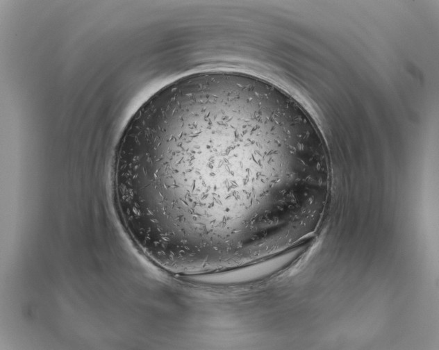 X0000111671533200907311148