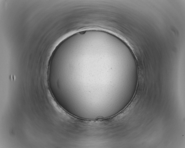 X0000111671534200907311148