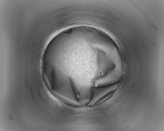 X0000111671535200907311148