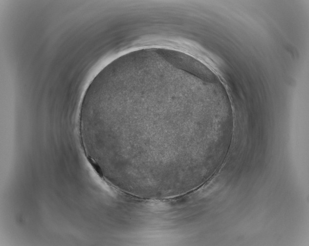 X0000111671536200907311148