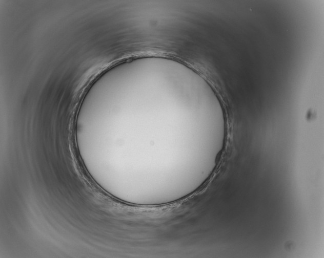 X0000111670001200908071508