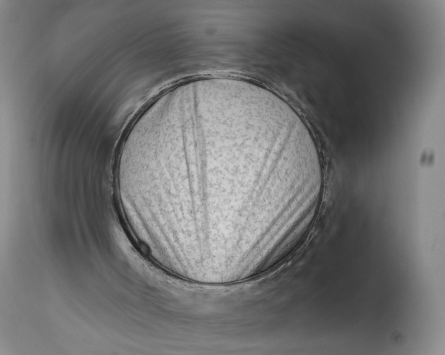 X0000111670002200908071508