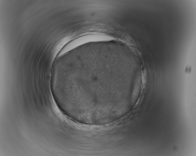 X0000111670003200908071508