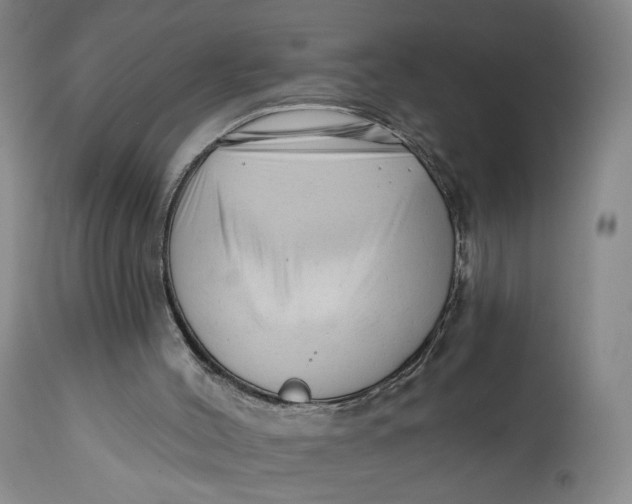 X0000111670004200908071508