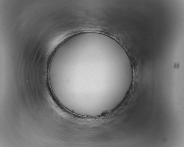 X0000111670005200908071508