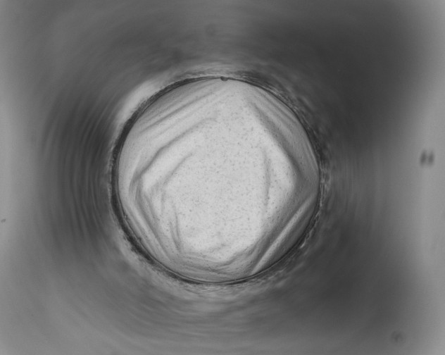 X0000111670006200908071508