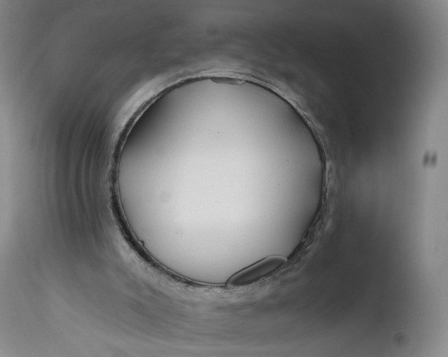 X0000111670007200908071508