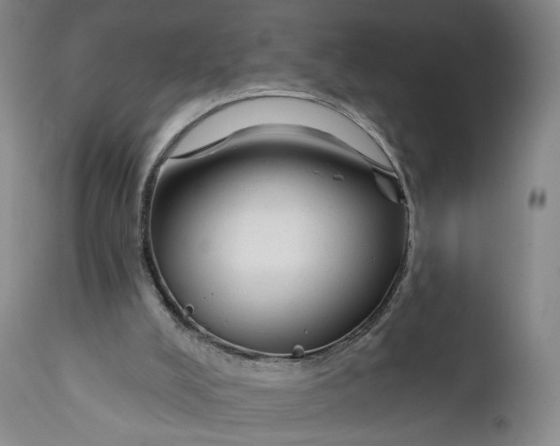 X0000111670008200908071508