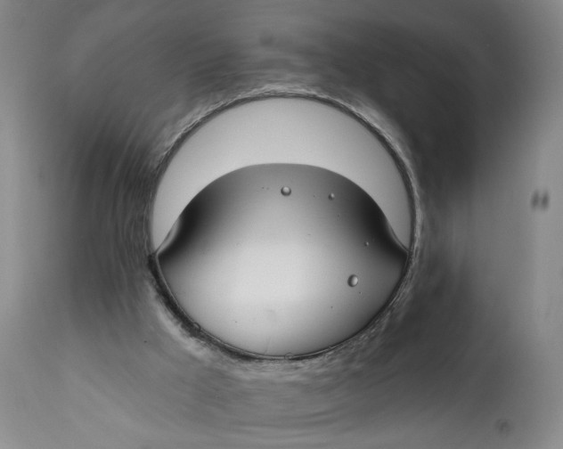 X0000111670009200908071508