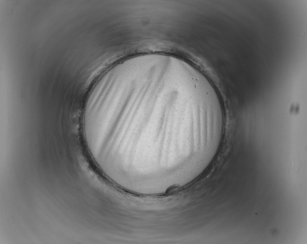 X0000111670010200908071508