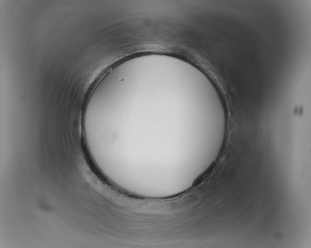 X0000111670011200908071508