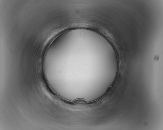 X0000111670012200908071508