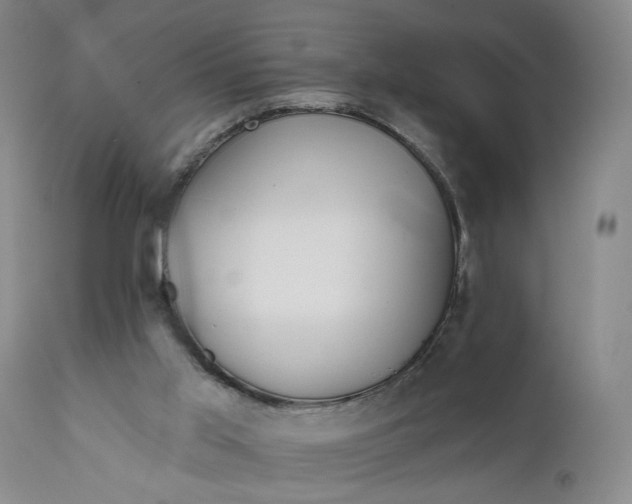 X0000111670013200908071508