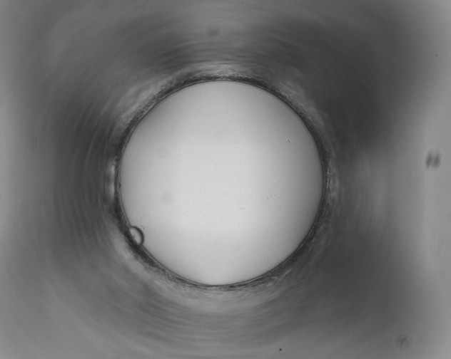 X0000111670014200908071508