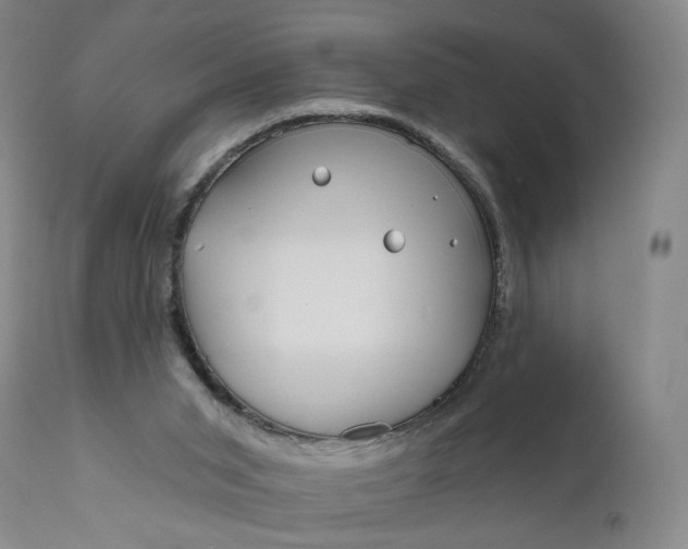 X0000111670015200908071508