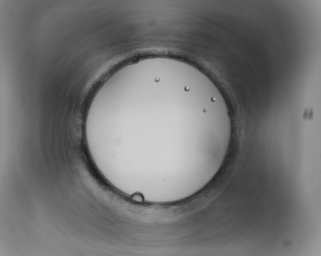 X0000111670016200908071508