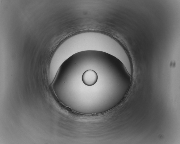 X0000111670017200908071508