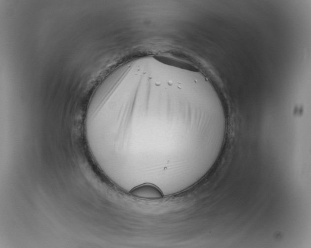 X0000111670018200908071508