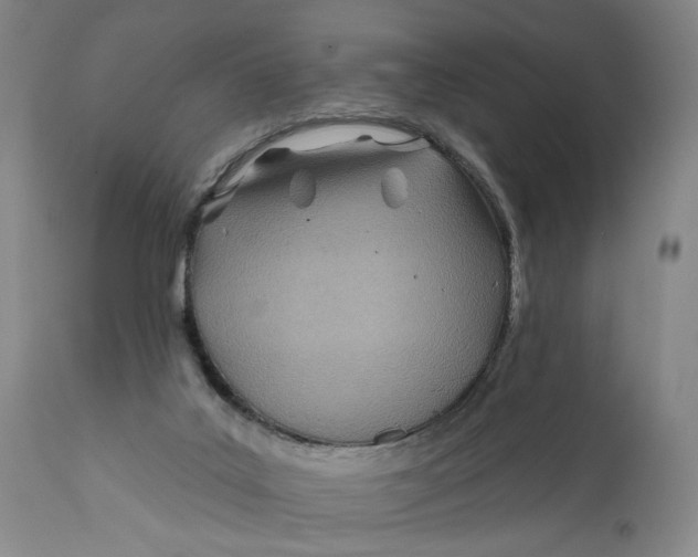 X0000111670019200908071508