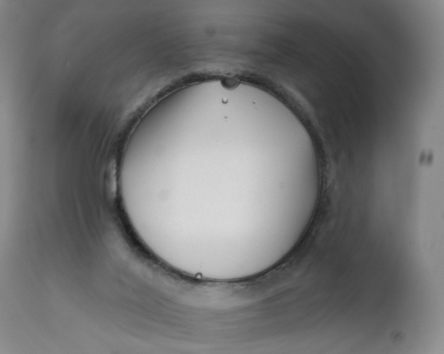 X0000111670020200908071508