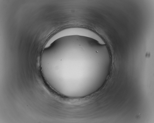 X0000111670021200908071508