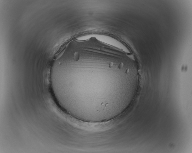 X0000111670023200908071508