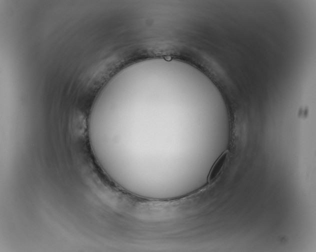 X0000111670025200908071508