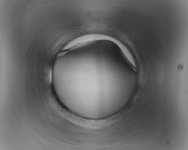 X0000111670027200908071508