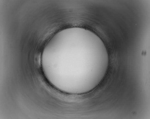 X0000111670028200908071508