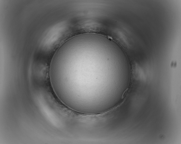 X0000111670029200908071508