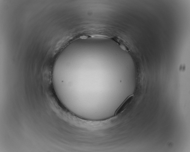 X0000111670031200908071508