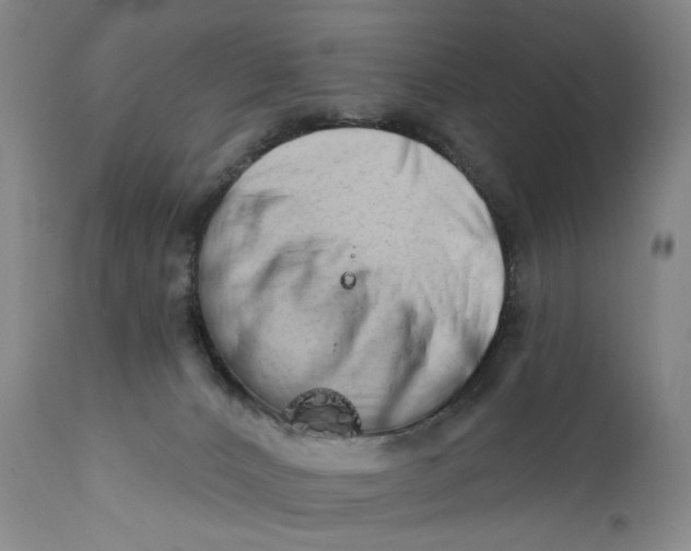 X0000111670032200908071508