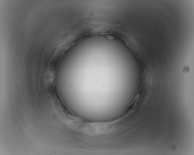 X0000111670033200908071508