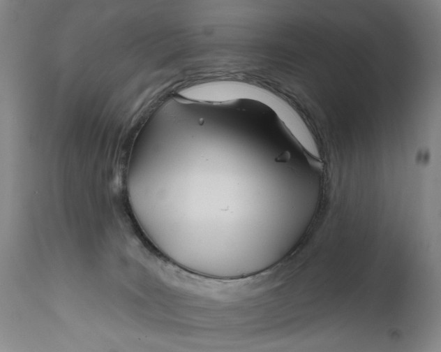 X0000111670035200908071508