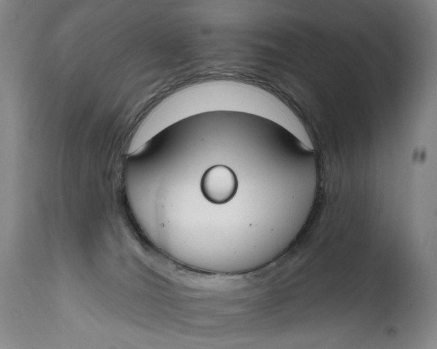 X0000111670036200908071508