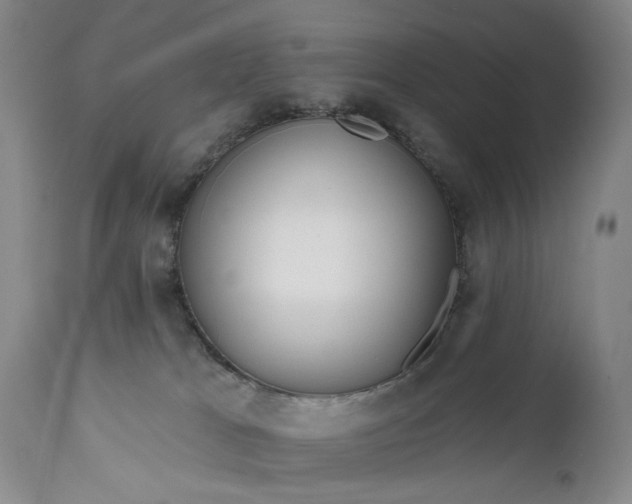 X0000111670037200908071508