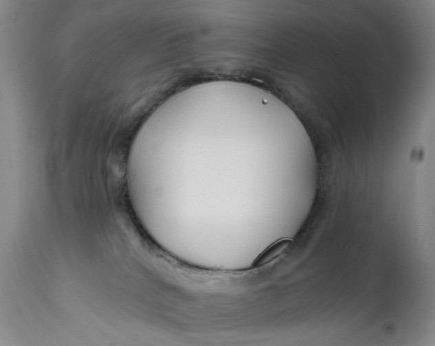 X0000111670040200908071508