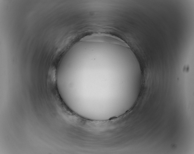 X0000111670041200908071508