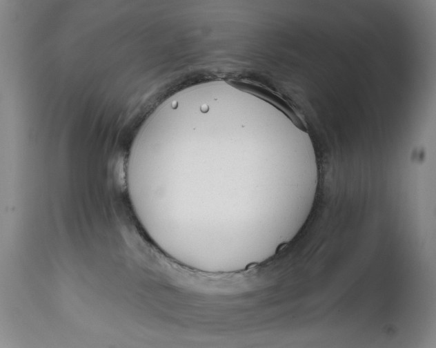 X0000111670042200908071508