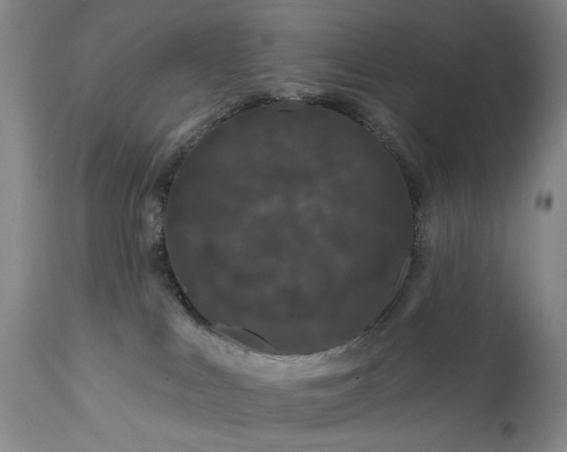 X0000111670043200908071508