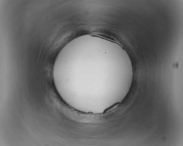 X0000111670044200908071508