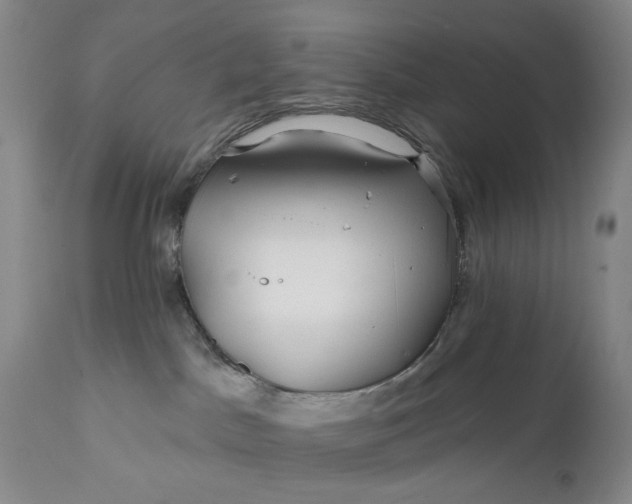 X0000111670045200908071508