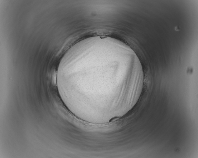 X0000111670046200908071508