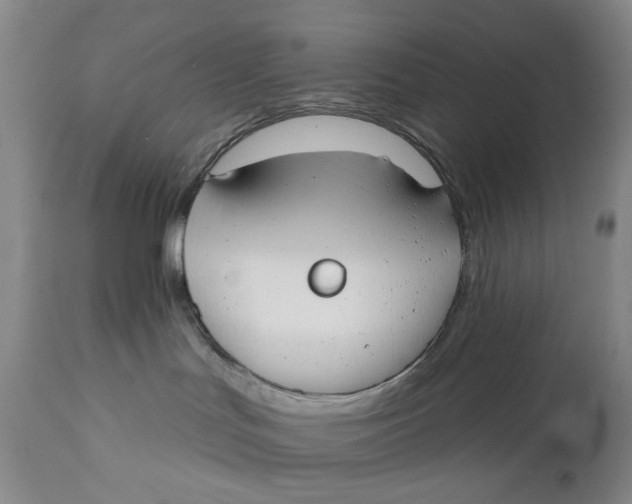 X0000111670047200908071508