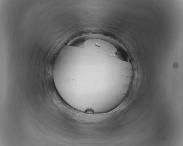 X0000111670048200908071508