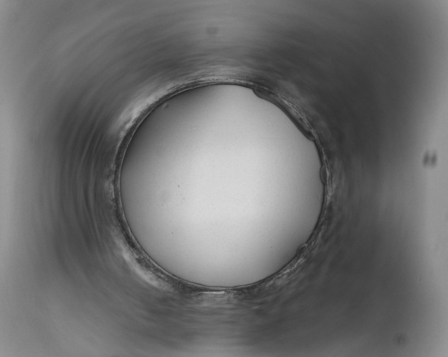 X0000111670050200908071507