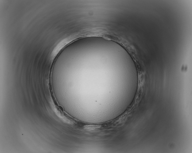 X0000111670051200908071507