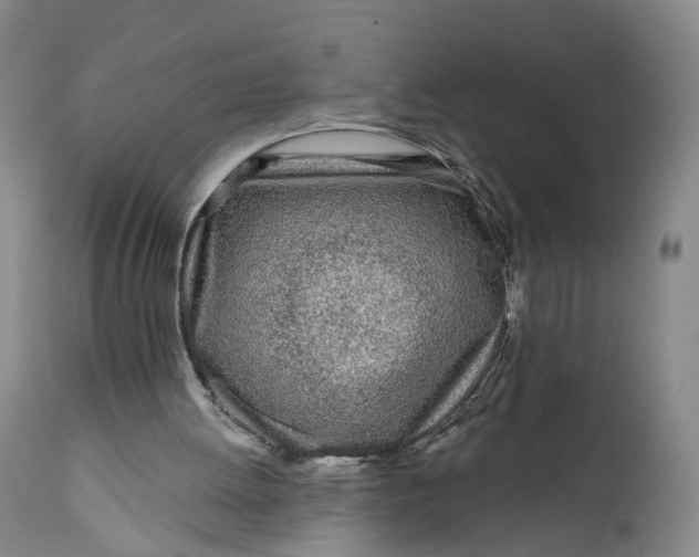 X0000111670052200908071507