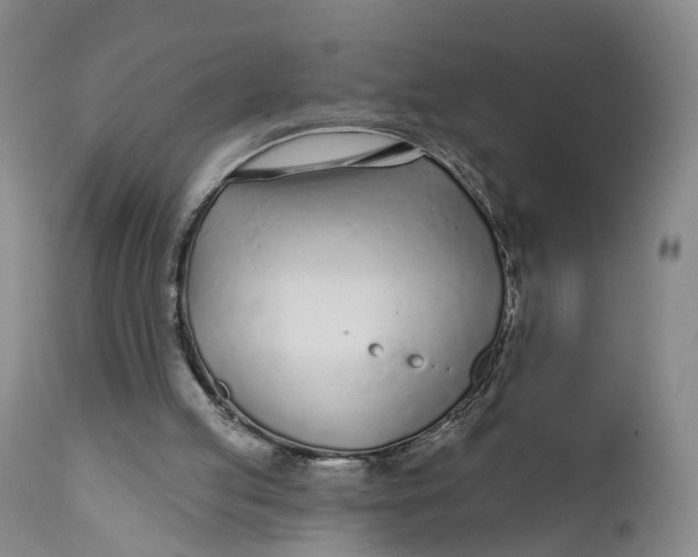 X0000111670053200908071507