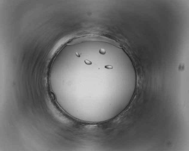 X0000111670054200908071507